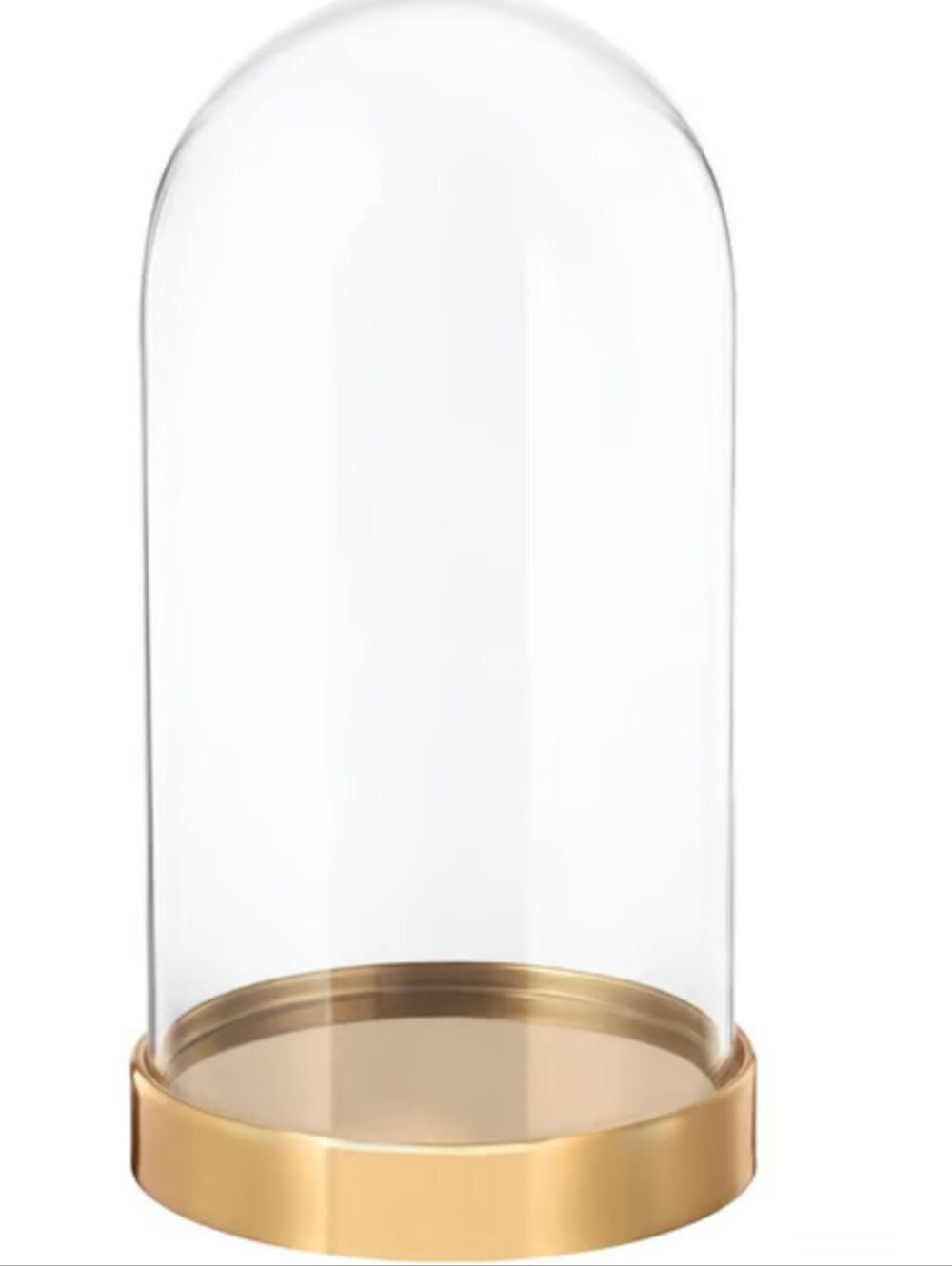 Glass Dome Cloche Display with Gold Brass Base